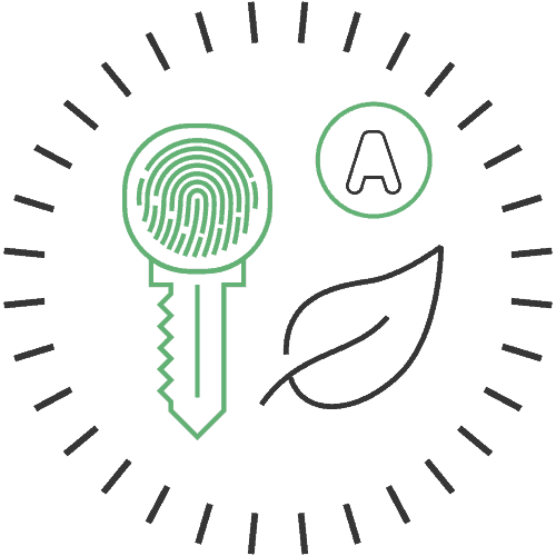 Learn Spring Security OAuth