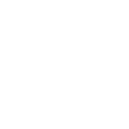 Lists icon
