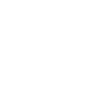 Memory Efficiency icon