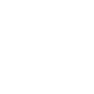 Develop REST APIs icon