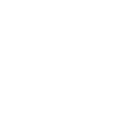 Authentication icon