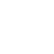 Security Expressions icon