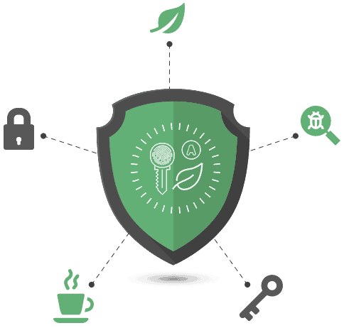 Spring Security OAuth illustration